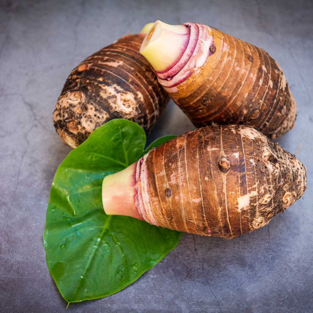 Mukhi Mura (Taro)