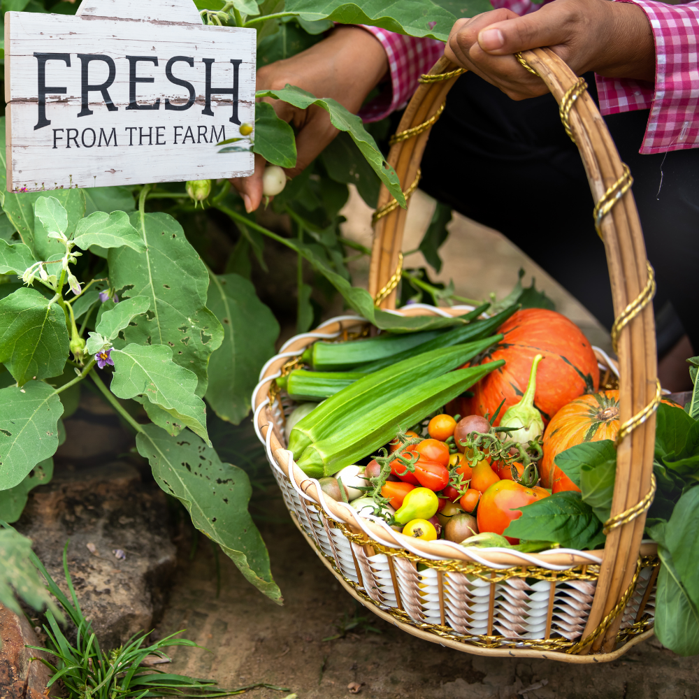 Fresh Farming