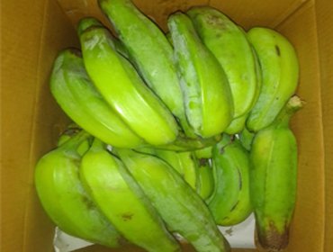 Green Banana